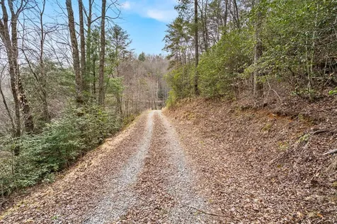 145 Raymond Wilson Road Topton NC 28781