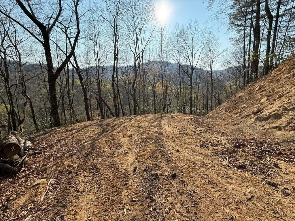 Lot 5 Huffman Creek Road Robbinsville NC 28771