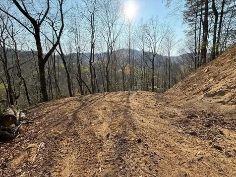 Lot 5 Huffman Creek Road Robbinsville NC 28771