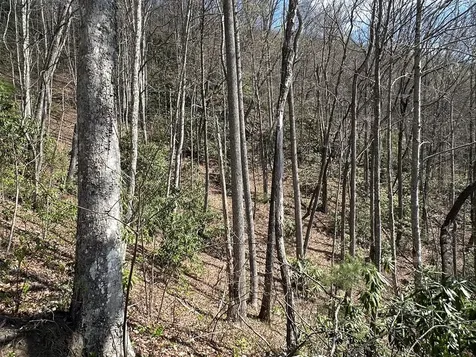 Lot 5 Huffman Creek Road Robbinsville NC 28771