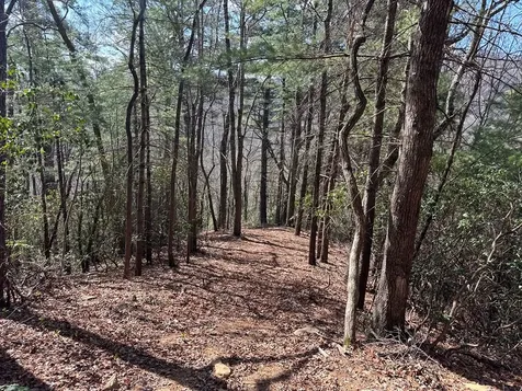 Lot 5 Huffman Creek Road Robbinsville NC 28771