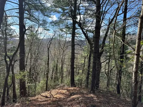 Lot 5 Huffman Creek Road Robbinsville NC 28771