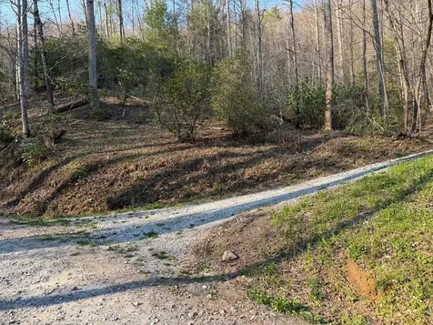 Lot 5 Huffman Creek Road Robbinsville NC 28771