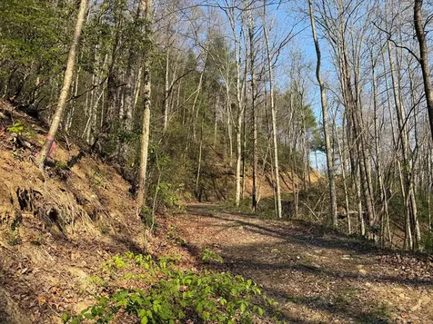 Lot 5 Huffman Creek Road Robbinsville NC 28771