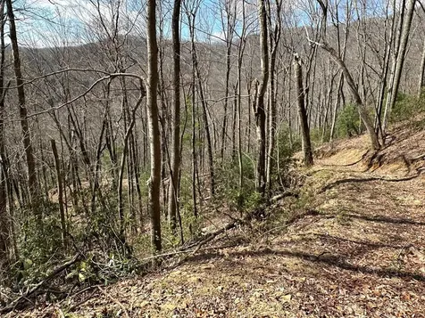 Lot 5 Huffman Creek Road Robbinsville NC 28771