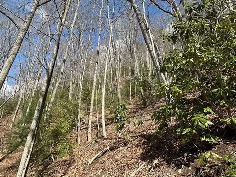 Lot 5 Huffman Creek Road Robbinsville NC 28771