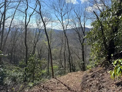 Lot 5 Huffman Creek Road Robbinsville NC 28771