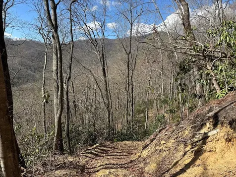 Lot 5 Huffman Creek Road Robbinsville NC 28771