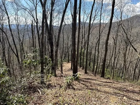 Lot 5 Huffman Creek Road Robbinsville NC 28771