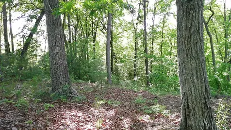 00 Fain Peak Murphy NC 28906