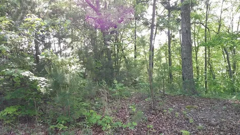 00 Fain Peak Murphy NC 28906