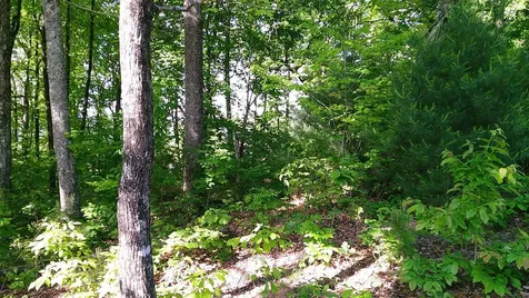 00 Fain Peak Murphy NC 28906