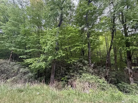 LOTS9&17 Warrior Way Andrews NC 28901