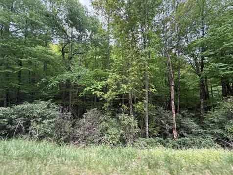 LOTS9&17 Warrior Way Andrews NC 28901
