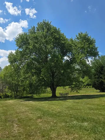 234 George Millsaps Road Robbinsville NC 28771