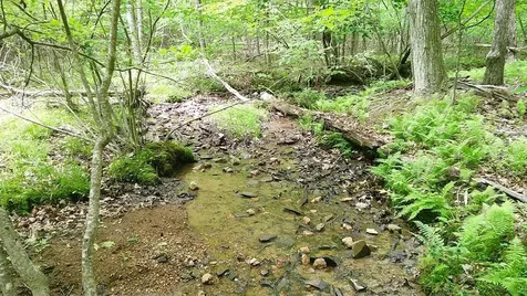 00 Tracks Hollow Murphy NC 28906