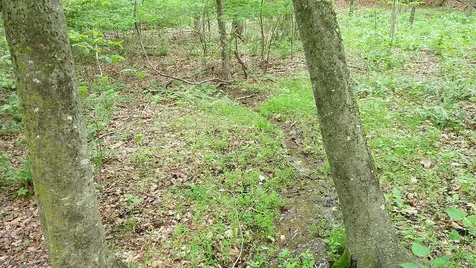 00 Tracks Hollow Murphy NC 28906