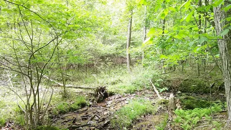 00 Tracks Hollow Murphy NC 28906