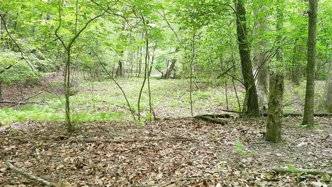 00 Tracks Hollow Murphy NC 28906