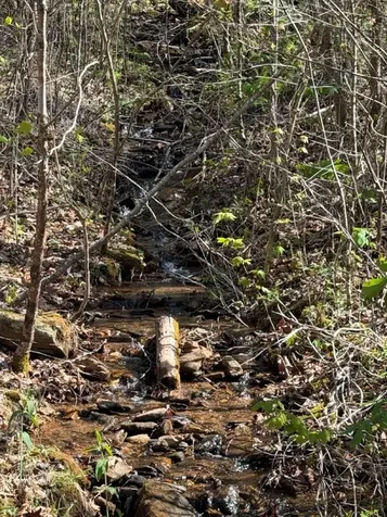 Lot 16-n High Meadows Drive Hayesville NC 28904