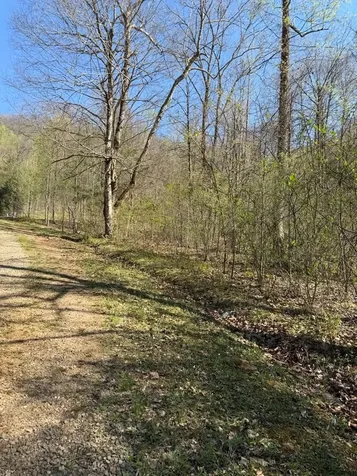 Lot 16-n High Meadows Drive Hayesville NC 28904