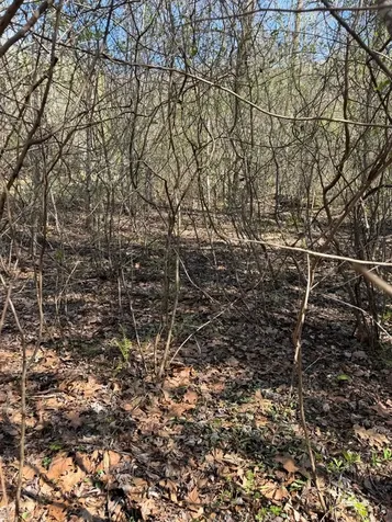 Lot 16-n High Meadows Drive Hayesville NC 28904