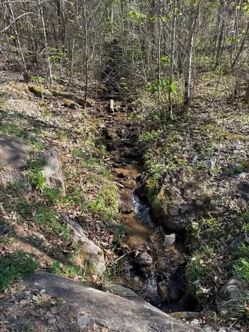 Lot 16-n High Meadows Drive Hayesville NC 28904