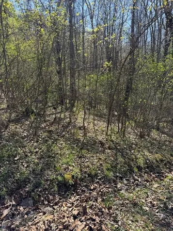 Lot 16-n High Meadows Drive Hayesville NC 28904