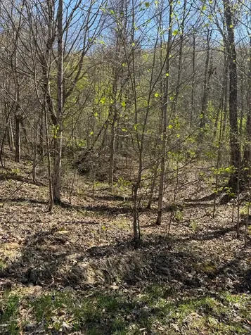 Lot 16-n High Meadows Drive Hayesville NC 28904