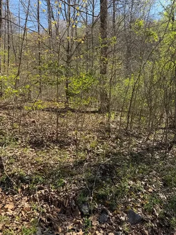 Lot 16-n High Meadows Drive Hayesville NC 28904
