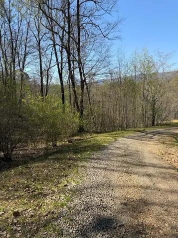 Lot 16-n High Meadows Drive Hayesville NC 28904