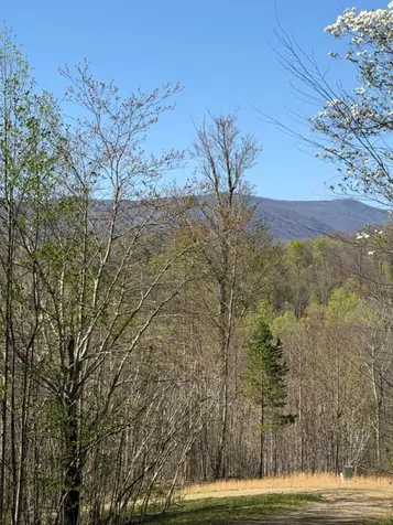 Lot 16-n High Meadows Drive Hayesville NC 28904