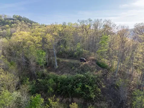 8888 Yellow Branch Road Robbinsville NC 28771