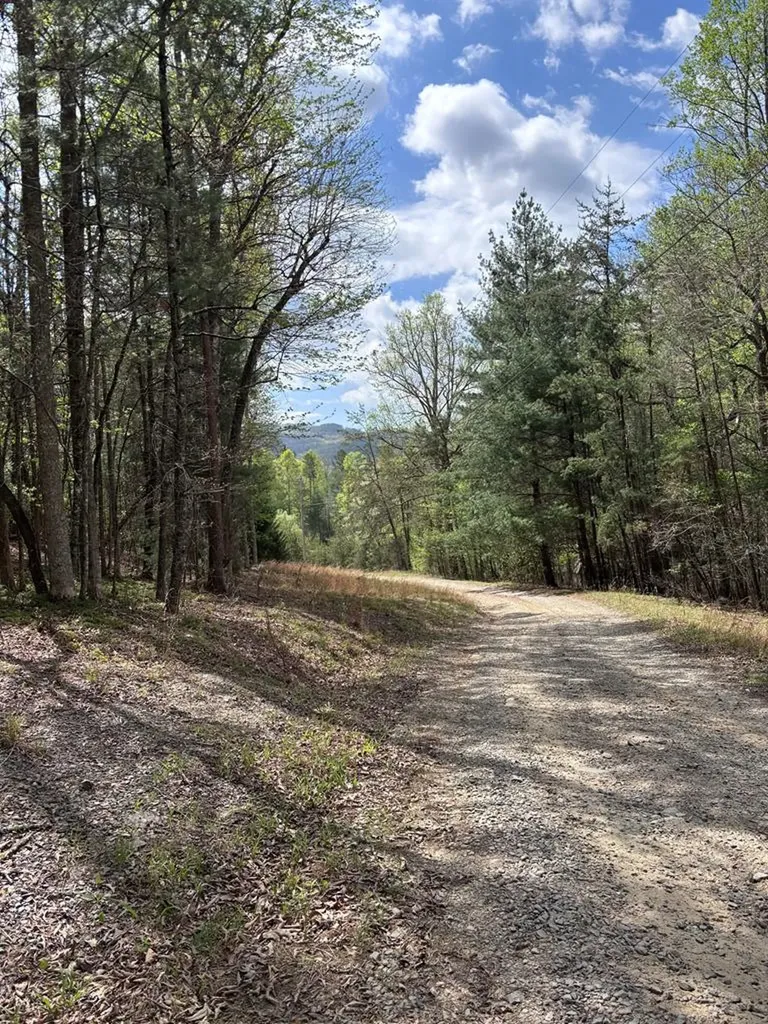 140 Hounds Run Lane Murphy NC 28906