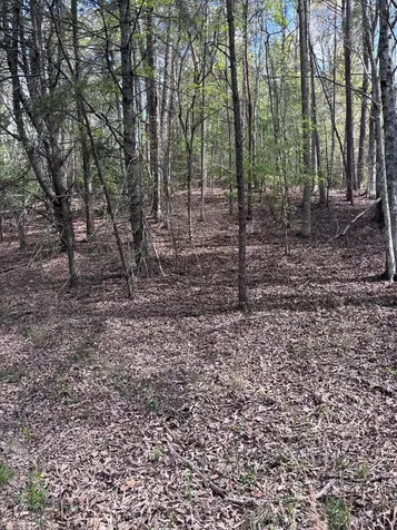 140 Hounds Run Lane Murphy NC 28906