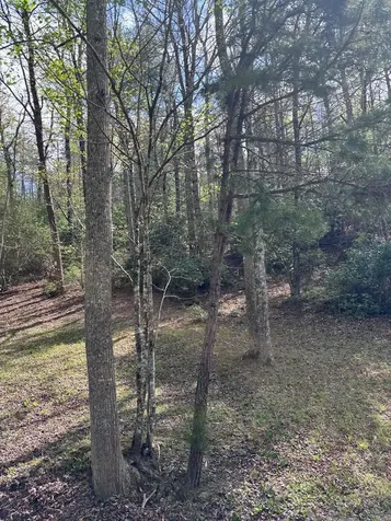 140 Hounds Run Lane Murphy NC 28906
