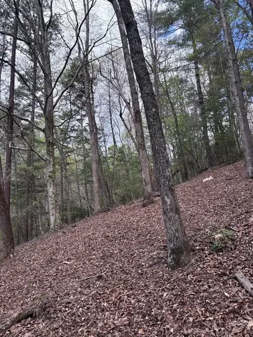 140 Hounds Run Lane Murphy NC 28906
