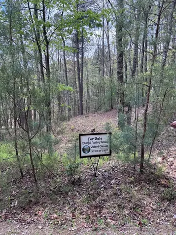 140 Hounds Run Lane Murphy NC 28906