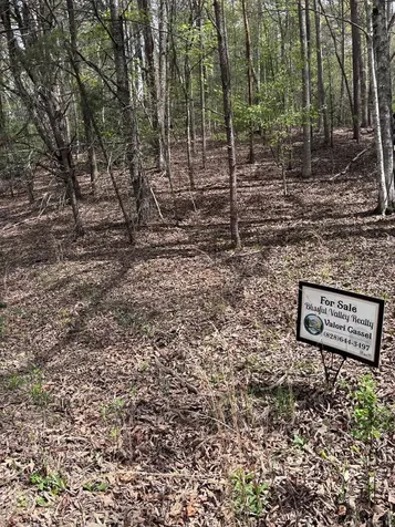 140 Hounds Run Lane Murphy NC 28906