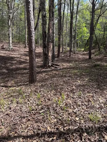 140 Hounds Run Lane Murphy NC 28906