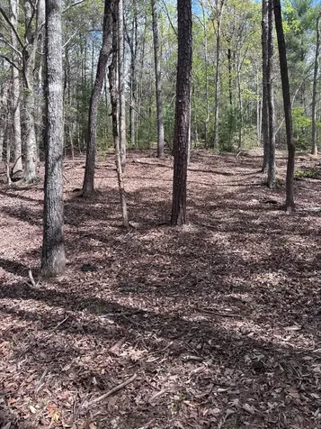 140 Hounds Run Lane Murphy NC 28906