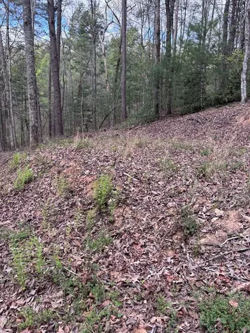 140 Hounds Run Lane Murphy NC 28906