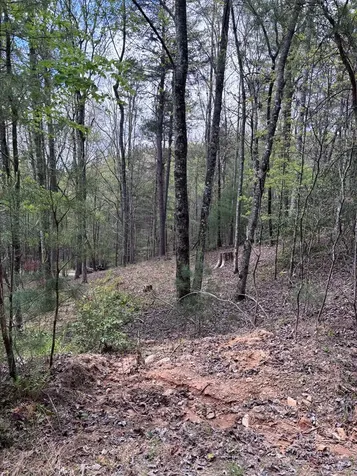 140 Hounds Run Lane Murphy NC 28906