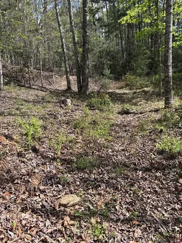 140 Hounds Run Lane Murphy NC 28906