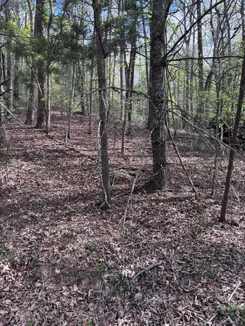140 Hounds Run Lane Murphy NC 28906