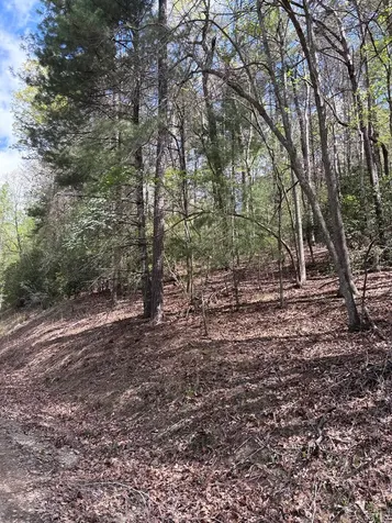 140 Hounds Run Lane Murphy NC 28906
