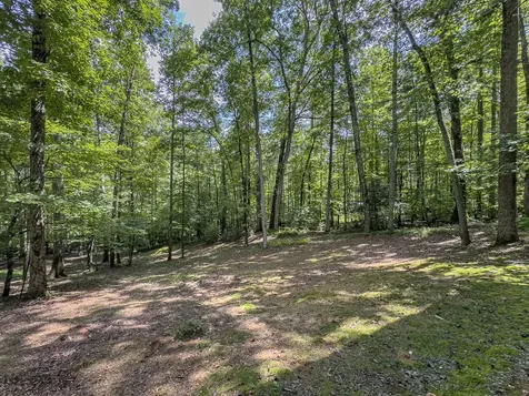 89 Box Turtle Lane Murphy NC 28906
