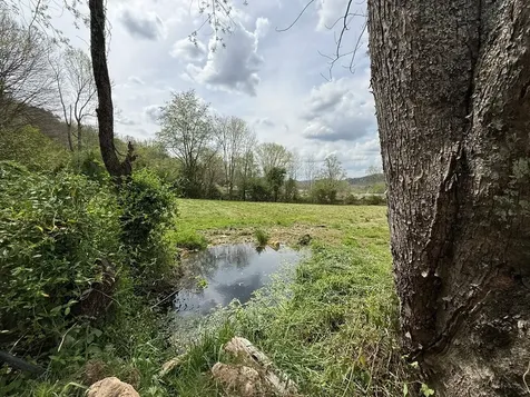 317 Robinson Road Andrews NC 28901