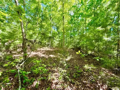Lt 3 Rockridge Road Murphy NC 28906