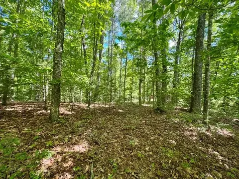 Lt 3 Rockridge Road Murphy NC 28906